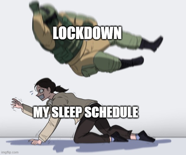 soldier attack | LOCKDOWN; MY SLEEP SCHEDULE | image tagged in soldier attack | made w/ Imgflip meme maker