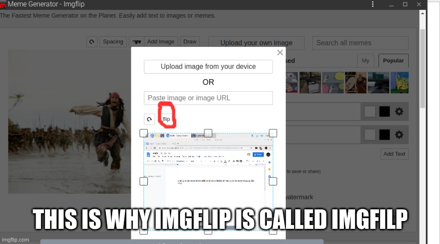 THIS IS WHY IMGFLIP IS CALLED IMGFILP | image tagged in jokes,imgflip | made w/ Imgflip meme maker