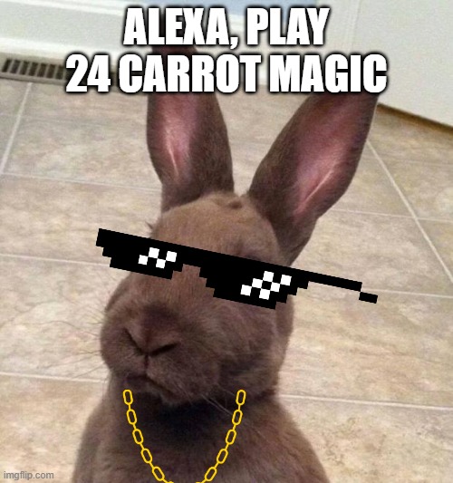 Really? Rabbit | ALEXA, PLAY 24 CARROT MAGIC | image tagged in really rabbit | made w/ Imgflip meme maker