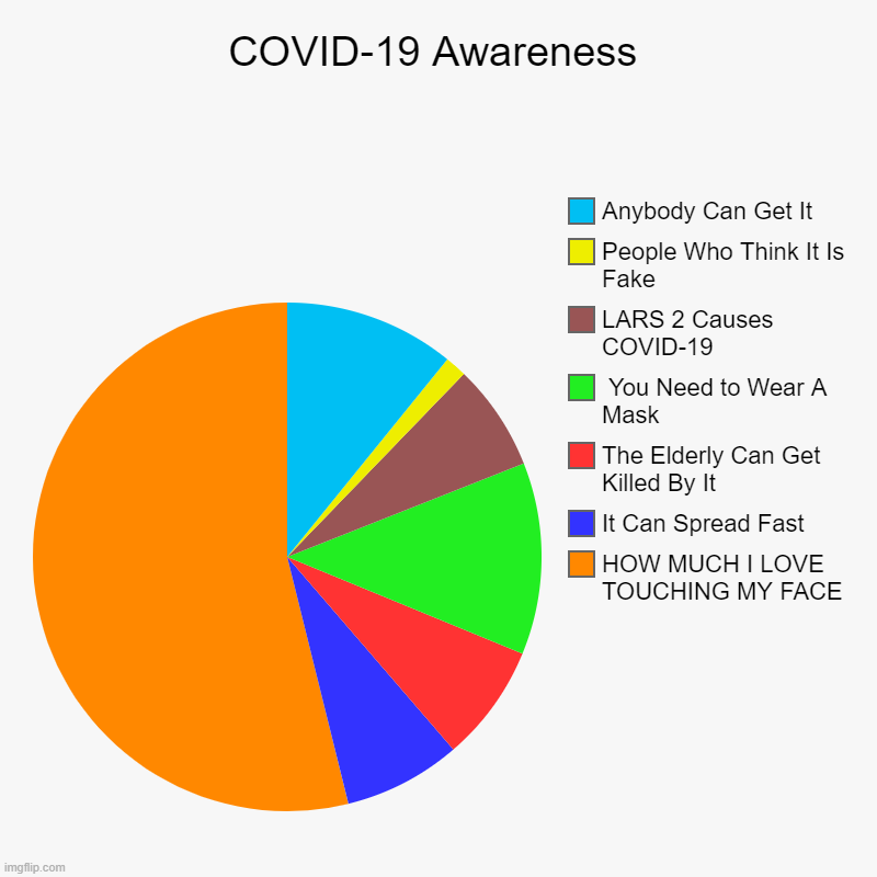 COVID-19 Awareness | HOW MUCH I LOVE TOUCHING MY FACE, It Can Spread Fast, The Elderly Can Get Killed By It,  You Need to Wear A Mask, LARS  | image tagged in charts,pie charts,covid-19 | made w/ Imgflip chart maker