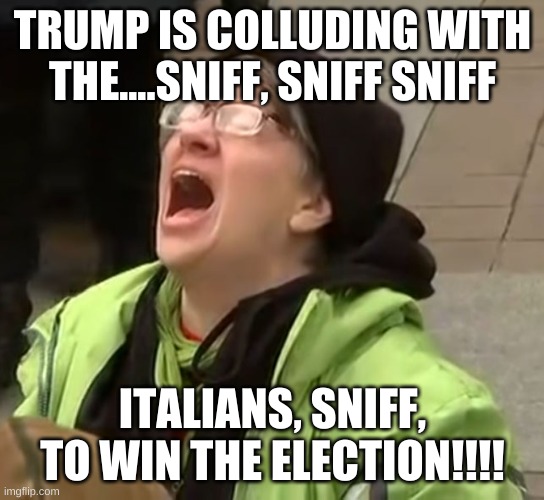 snowflake | TRUMP IS COLLUDING WITH THE....SNIFF, SNIFF SNIFF ITALIANS, SNIFF, TO WIN THE ELECTION!!!! | image tagged in snowflake | made w/ Imgflip meme maker