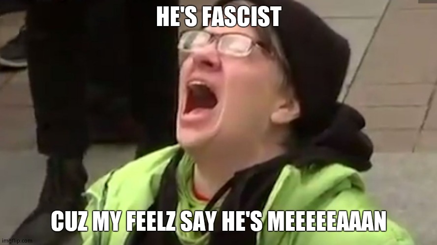 Screaming Liberal  | HE'S FASCIST CUZ MY FEELZ SAY HE'S MEEEEEAAAN | image tagged in screaming liberal | made w/ Imgflip meme maker