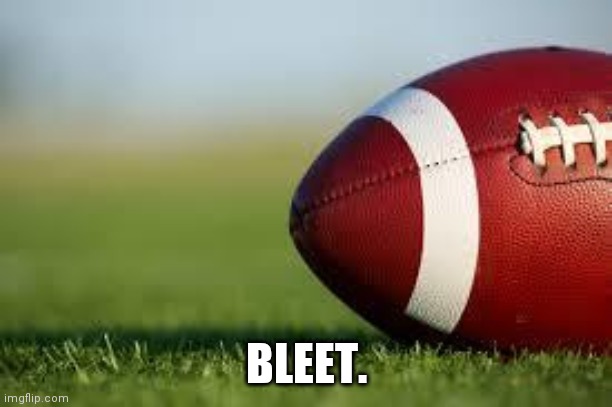 football field | BLEET. | image tagged in football field | made w/ Imgflip meme maker
