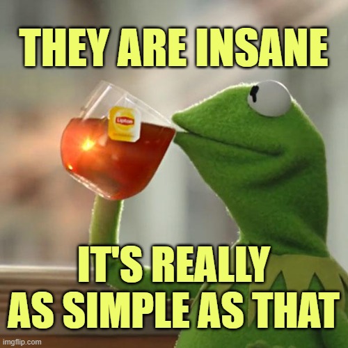 But That's None Of My Business Meme | THEY ARE INSANE IT'S REALLY AS SIMPLE AS THAT | image tagged in memes,but that's none of my business,kermit the frog | made w/ Imgflip meme maker