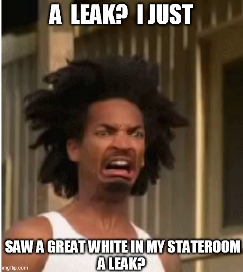 A  LEAK?  I JUST SAW A GREAT WHITE IN MY STATEROOM






A LEAK? | made w/ Imgflip meme maker
