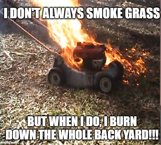 Smoke Grass | I DON'T ALWAYS SMOKE GRASS; BUT WHEN I DO, I BURN DOWN THE WHOLE BACK YARD!!! | image tagged in smoke grass,weed,pot,stoner,getting high | made w/ Imgflip meme maker