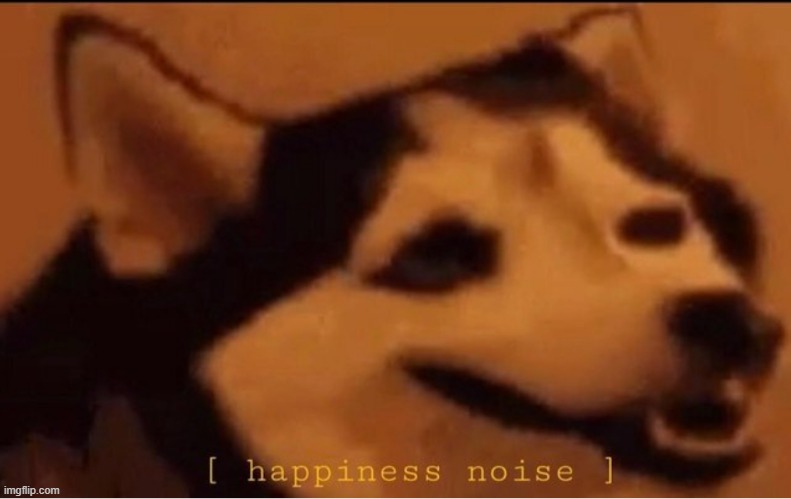 happines noise | image tagged in happines noise | made w/ Imgflip meme maker