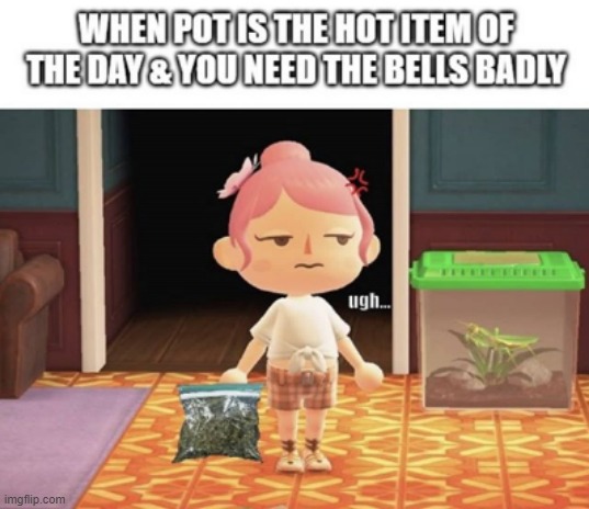 Gotta do what you gotta do. | image tagged in animal crossing | made w/ Imgflip meme maker