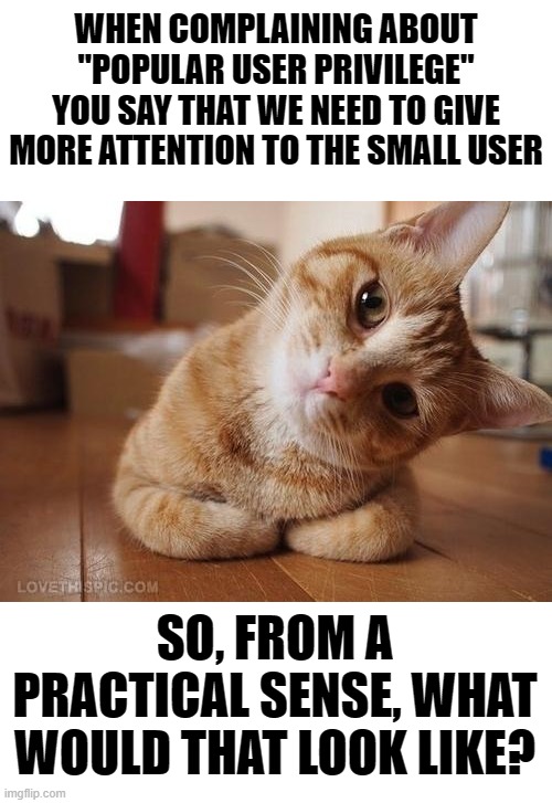 Just a practical question I'm wondering about | WHEN COMPLAINING ABOUT "POPULAR USER PRIVILEGE" YOU SAY THAT WE NEED TO GIVE MORE ATTENTION TO THE SMALL USER; SO, FROM A PRACTICAL SENSE, WHAT WOULD THAT LOOK LIKE? | image tagged in curious question cat | made w/ Imgflip meme maker