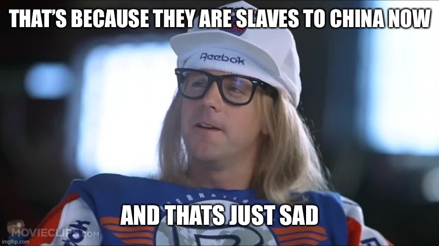 Garth sad | THAT’S BECAUSE THEY ARE SLAVES TO CHINA NOW AND THATS JUST SAD | image tagged in garth sad | made w/ Imgflip meme maker