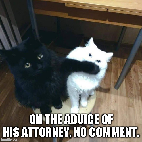 Cat Attorney | ON THE ADVICE OF HIS ATTORNEY, NO COMMENT. | image tagged in cats,lawyers | made w/ Imgflip meme maker