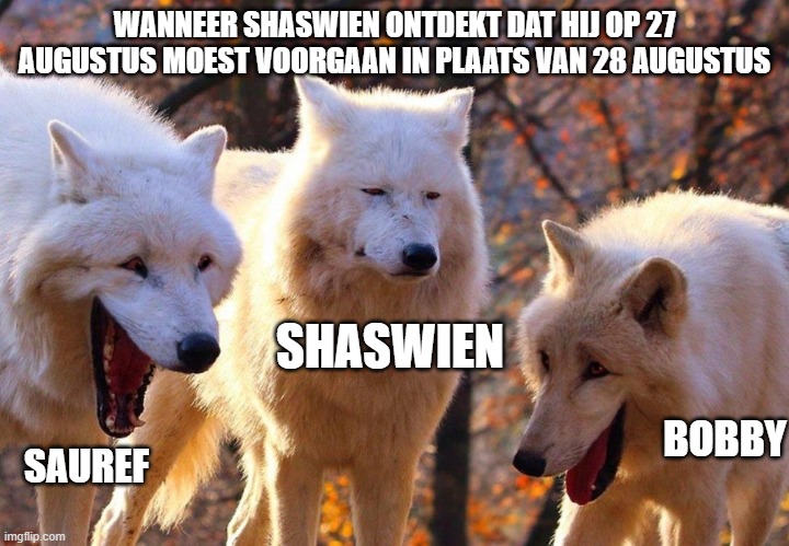 2/3 wolves laugh | WANNEER SHASWIEN ONTDEKT DAT HIJ OP 27 AUGUSTUS MOEST VOORGAAN IN PLAATS VAN 28 AUGUSTUS; SHASWIEN; BOBBY; SAUREF | image tagged in 2/3 wolves laugh | made w/ Imgflip meme maker