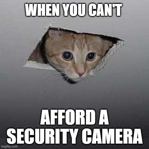 Living on a Budget | WHEN YOU CAN'T; AFFORD A SECURITY CAMERA | image tagged in memes,ceiling cat | made w/ Imgflip meme maker