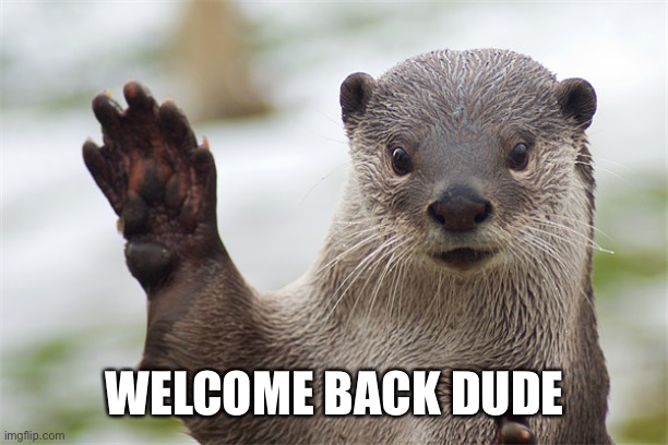 Welcome Back, Otter. | WELCOME BACK DUDE | image tagged in welcome back otter | made w/ Imgflip meme maker