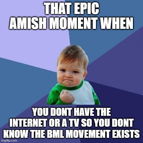 Success Kid Meme | THAT EPIC AMISH MOMENT WHEN; YOU DONT HAVE THE INTERNET OR A TV SO YOU DONT KNOW THE BML MOVEMENT EXISTS | image tagged in memes,success kid | made w/ Imgflip meme maker