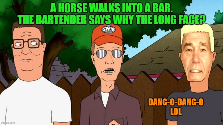 A HORSE WALKS INTO A BAR. THE BARTENDER SAYS WHY THE LONG FACE? DANG-O-DANG-O LOL | image tagged in lewhaugher | made w/ Imgflip meme maker