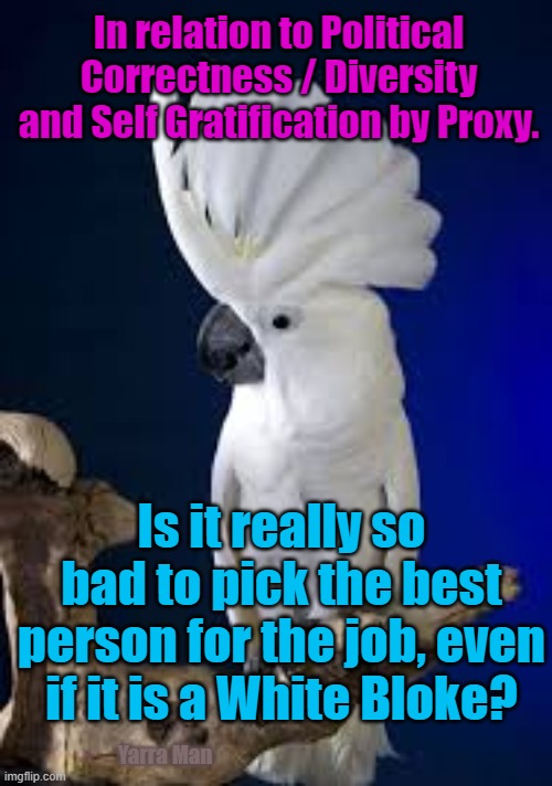 Staff Selection | In relation to Political Correctness / Diversity and Self Gratification by Proxy. Is it really so bad to pick the best person for the job, even if it is a White Bloke? Yarra Man | image tagged in common sense | made w/ Imgflip meme maker