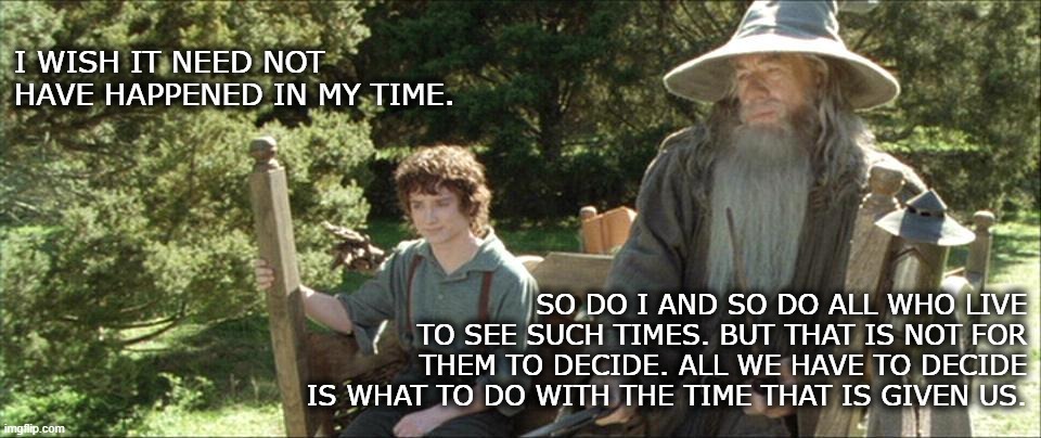 Such Times | I WISH IT NEED NOT HAVE HAPPENED IN MY TIME. SO DO I AND SO DO ALL WHO LIVE TO SEE SUCH TIMES. BUT THAT IS NOT FOR THEM TO DECIDE. ALL WE HAVE TO DECIDE IS WHAT TO DO WITH THE TIME THAT IS GIVEN US. | image tagged in lord of the rings,lotr,frodo,gandalf | made w/ Imgflip meme maker