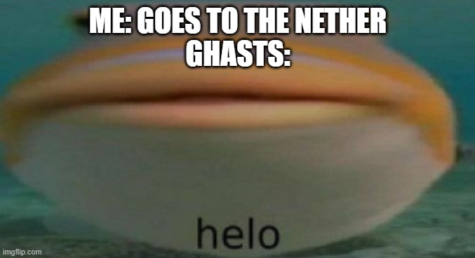 Ghasts in the nether | ME: GOES TO THE NETHER
GHASTS: | image tagged in helo | made w/ Imgflip meme maker