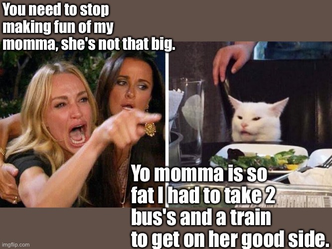 Woman yelling at cat | You need to stop making fun of my momma, she's not that big. Yo momma is so fat I had to take 2 bus's and a train to get on her good side. | image tagged in smudge the cat | made w/ Imgflip meme maker