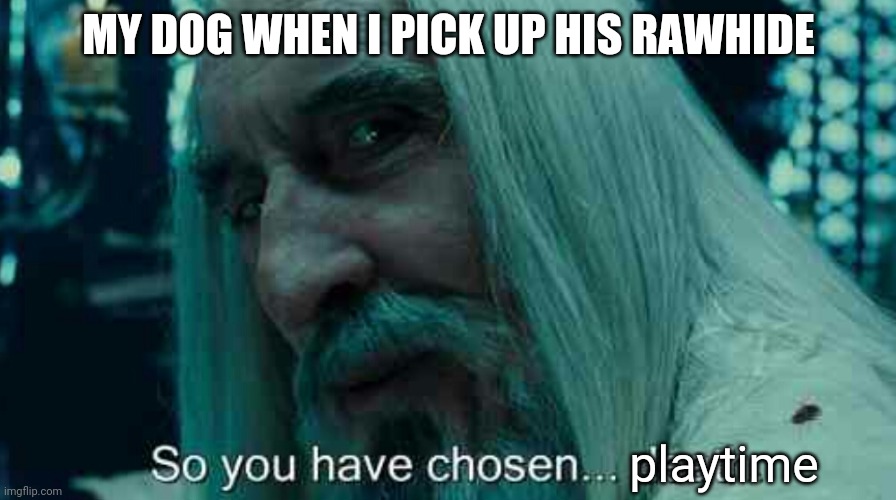 So you have chosen death | MY DOG WHEN I PICK UP HIS RAWHIDE; playtime | image tagged in so you have chosen death,memes | made w/ Imgflip meme maker