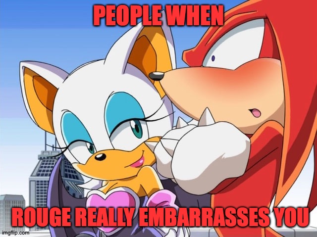 Rouge: A Crazy moment | PEOPLE WHEN; ROUGE REALLY EMBARRASSES YOU | image tagged in embarrassing | made w/ Imgflip meme maker