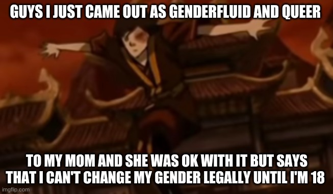 *crys* | GUYS I JUST CAME OUT AS GENDERFLUID AND QUEER; TO MY MOM AND SHE WAS OK WITH IT BUT SAYS THAT I CAN'T CHANGE MY GENDER LEGALLY UNTIL I'M 18 | image tagged in coming out | made w/ Imgflip meme maker