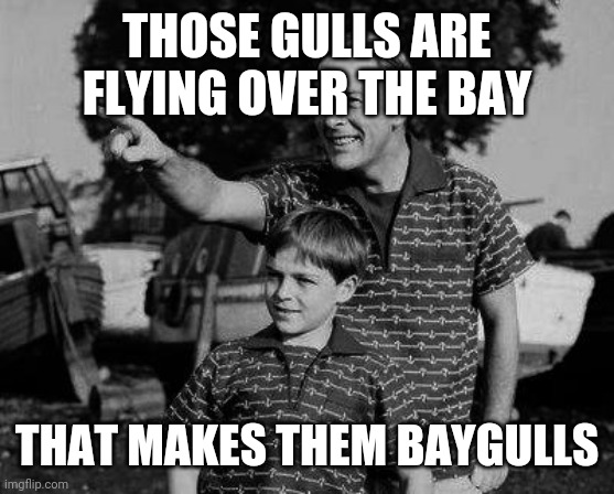 Father and son | THOSE GULLS ARE FLYING OVER THE BAY; THAT MAKES THEM BAYGULLS | image tagged in father and son | made w/ Imgflip meme maker