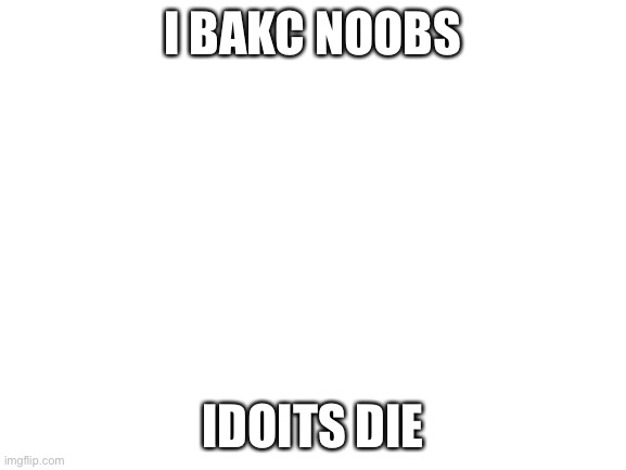 NOOBS I HAT U | I BAKC NOOBS; IDOITS DIE | image tagged in blank white template | made w/ Imgflip meme maker