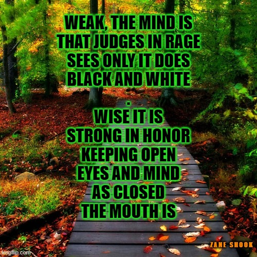 Wisdom | WEAK, THE MIND IS
THAT JUDGES IN RAGE
SEES ONLY IT DOES
BLACK AND WHITE
.
WISE IT IS
STRONG IN HONOR
KEEPING OPEN
EYES AND MIND
AS CLOSED
THE MOUTH IS; Z A N E   S H O O K | image tagged in memes,funny meme,star wars yoda | made w/ Imgflip meme maker
