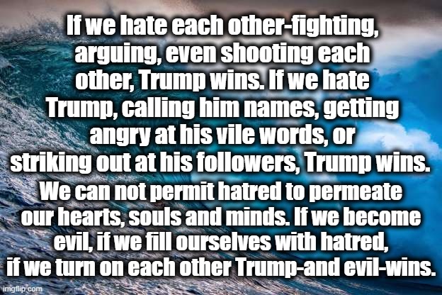 Love defeats evil. | If we hate each other-fighting, arguing, even shooting each other, Trump wins. If we hate Trump, calling him names, getting angry at his vile words, or striking out at his followers, Trump wins. We can not permit hatred to permeate our hearts, souls and minds. If we become evil, if we fill ourselves with hatred, if we turn on each other Trump-and evil-wins. | image tagged in trump,hatred,evil,fighting,love | made w/ Imgflip meme maker