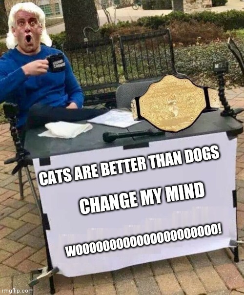 RIC FLAIR CHANGE MY MIND BLANK | CATS ARE BETTER THAN DOGS; CHANGE MY MIND; WOOOOOOOOOOOOOOOOOOOOO! | image tagged in ric flair change my mind blank | made w/ Imgflip meme maker