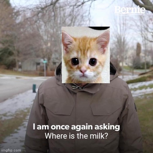 Bernie I Am Once Again Asking For Your Support Meme | Where is the milk? | image tagged in memes,bernie i am once again asking for your support | made w/ Imgflip meme maker