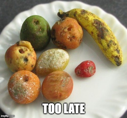 Moldy fruit | TOO LATE | image tagged in moldy fruit | made w/ Imgflip meme maker