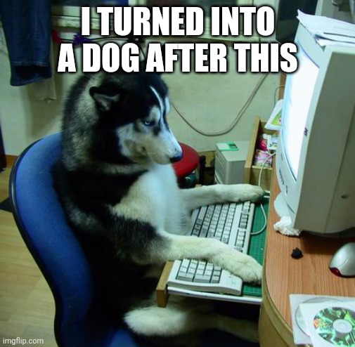 I Have No Idea What I Am Doing Meme | I TURNED INTO A DOG AFTER THIS | image tagged in memes,i have no idea what i am doing | made w/ Imgflip meme maker