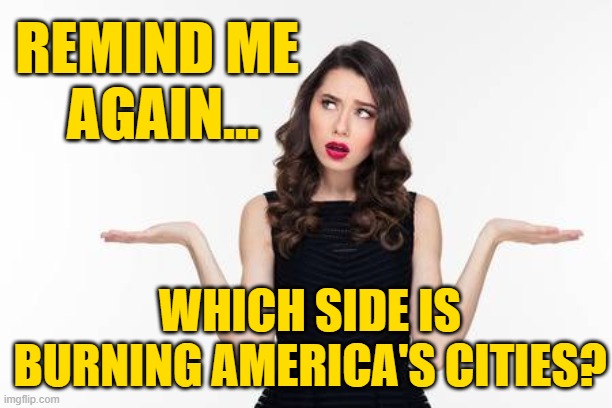Confused woman | REMIND ME 
AGAIN... WHICH SIDE IS BURNING AMERICA'S CITIES? | image tagged in confused woman | made w/ Imgflip meme maker