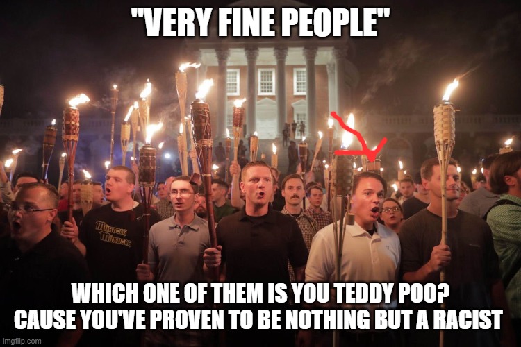 White Supremacists in Charlottesville | "VERY FINE PEOPLE" WHICH ONE OF THEM IS YOU TEDDY POO? CAUSE YOU'VE PROVEN TO BE NOTHING BUT A RACIST | image tagged in white supremacists in charlottesville | made w/ Imgflip meme maker