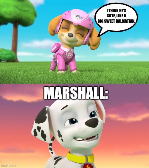 Marshall's Reaction to What Skye said about the Dragon | I THINK HE'S CUTE, LIKE A BIG SWEET DALMATIAN. MARSHALL: | image tagged in paw patrol,nickelodeon | made w/ Imgflip meme maker