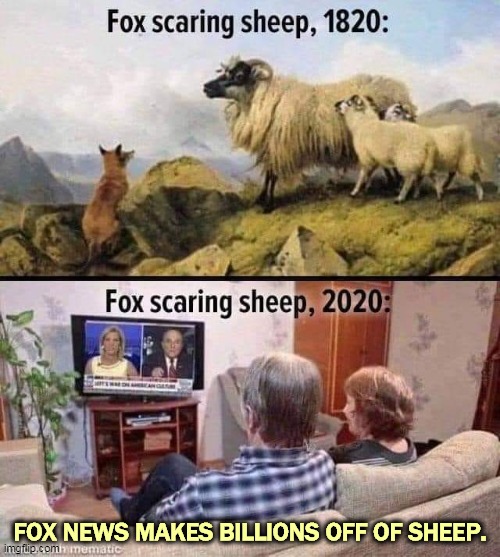 FOX NEWS MAKES BILLIONS OFF OF SHEEP. | image tagged in fox news,sheep,trump | made w/ Imgflip meme maker
