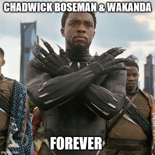 Wakanda Forever | CHADWICK BOSEMAN & WAKANDA; FOREVER | image tagged in wakanda forever | made w/ Imgflip meme maker