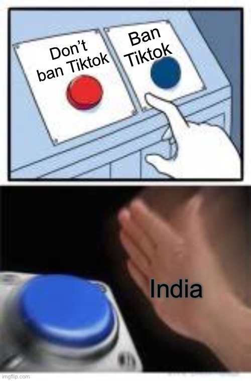 Hello this Hilarious lol | Ban Tiktok; Don’t ban Tiktok; India | image tagged in red and blue buttons | made w/ Imgflip meme maker
