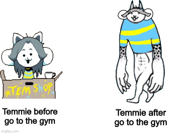 Don’t call Temmie weak | Temmie after go to the gym; Temmie before go to the gym | image tagged in memes,funny,cats,temmie,undertale,strong | made w/ Imgflip meme maker
