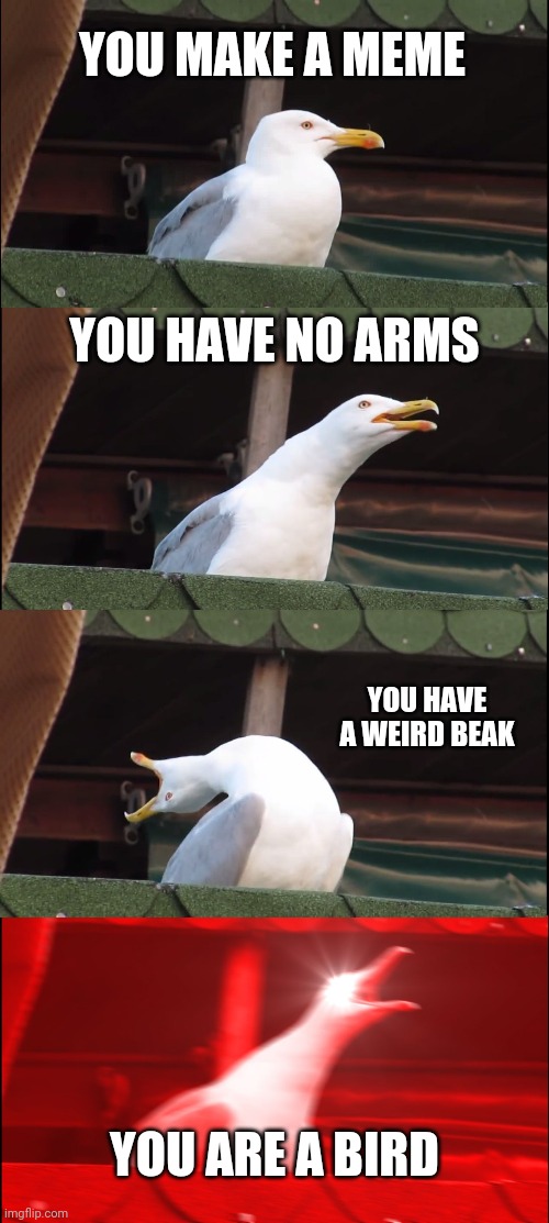 bird mem pls upvote im bored | YOU MAKE A MEME; YOU HAVE NO ARMS; YOU HAVE A WEIRD BEAK; YOU ARE A BIRD | image tagged in memes,inhaling seagull,funny,stupid | made w/ Imgflip meme maker