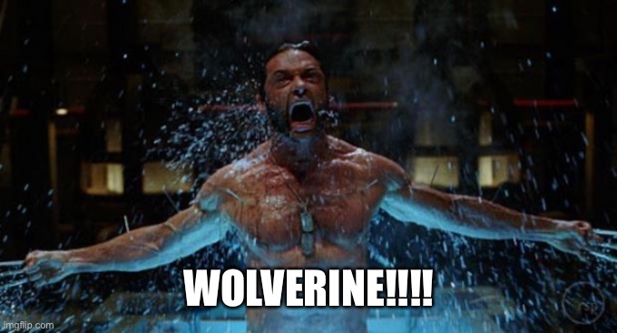 WOLVERINE | WOLVERINE!!!! | image tagged in wolverine | made w/ Imgflip meme maker