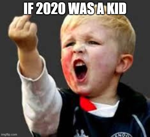 Baby Pointing Middle Finger | IF 2020 WAS A KID | image tagged in baby pointing middle finger | made w/ Imgflip meme maker