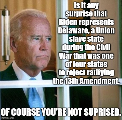 Joe is a tradionalist who loved the segregationists and what they did. This is what the Democratic Party was about and still is. | Is it any surprise that Biden represents Delaware, a Union slave state during the Civil War that was one of four states to reject ratifying the 13th Amendment. OF COURSE YOU'RE NOT SUPRISED. | image tagged in sad joe biden,13th amendment,civil war | made w/ Imgflip meme maker