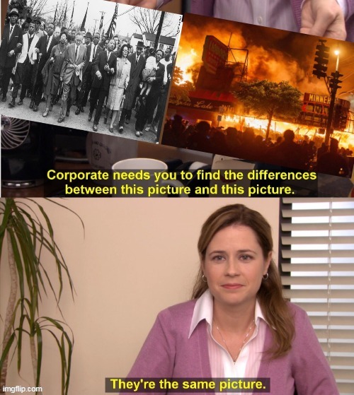 Can you spot the differences? | image tagged in they're the same picture,funny memes | made w/ Imgflip meme maker