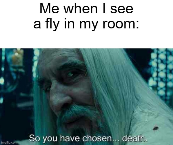 So you have chosen death | Me when I see a fly in my room: | image tagged in so you have chosen death | made w/ Imgflip meme maker
