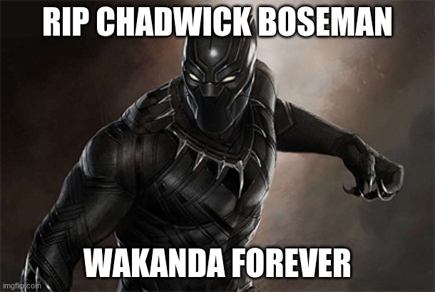 Black Panther | RIP CHADWICK BOSEMAN; WAKANDA FOREVER | image tagged in black panther,sad,rip,2020,memes | made w/ Imgflip meme maker