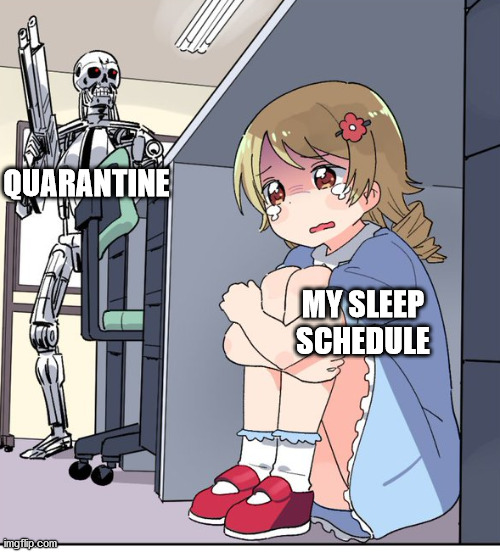 This is probably dead but still | QUARANTINE; MY SLEEP SCHEDULE | image tagged in anime terminator | made w/ Imgflip meme maker